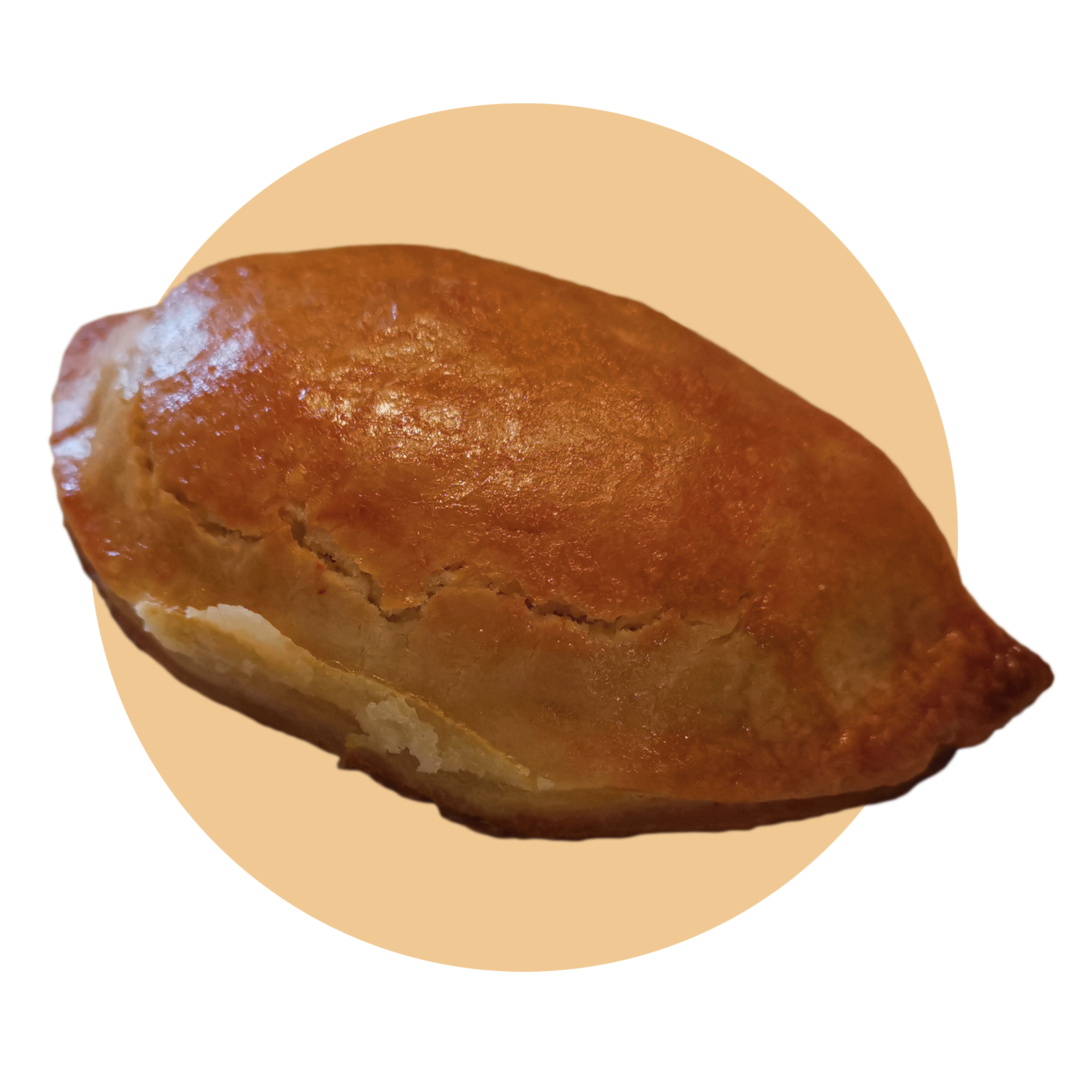 Chicken Empanada