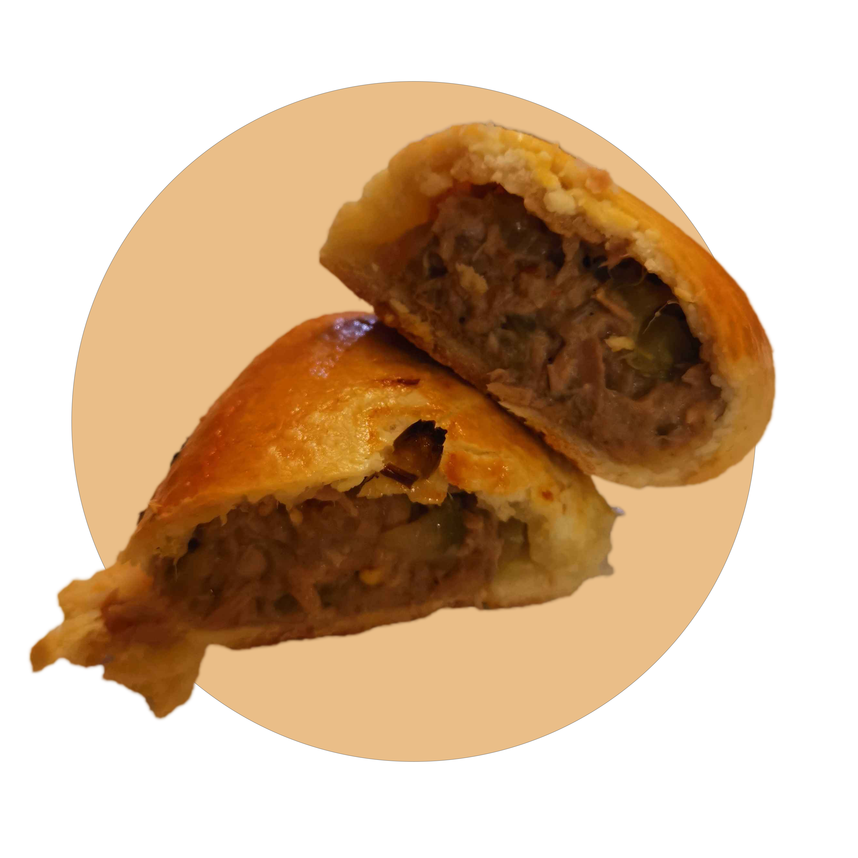 Tuna Empanada
